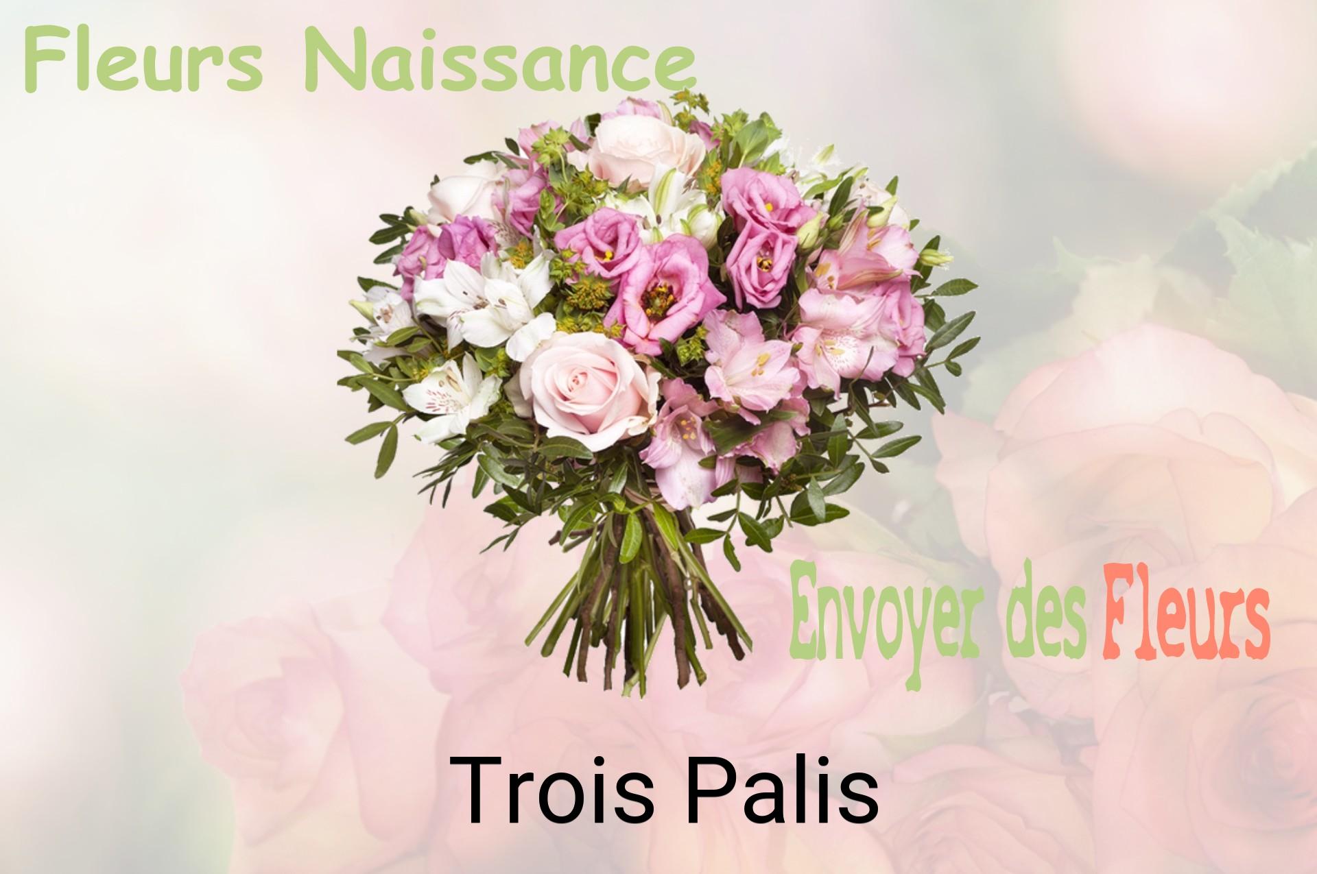 Bouquet de fleurs de naissance livré à Trois-Palis