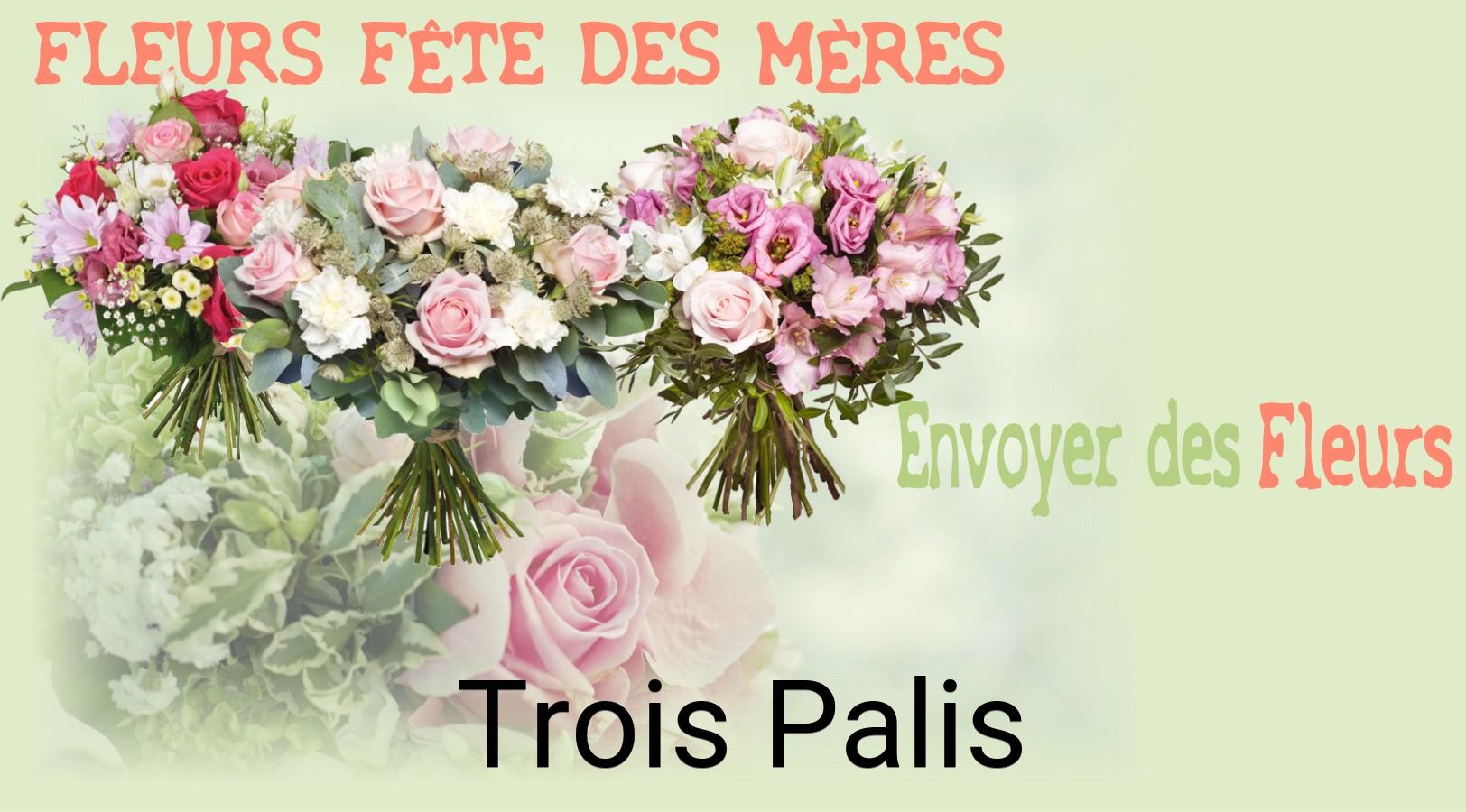 Bouquet de Fête des Mères livré à Trois-Palis
